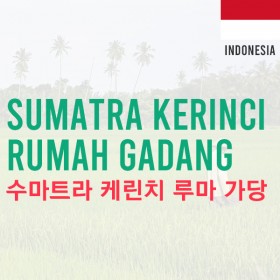 [Indonesia]Sumatra Kerinci Rumah Gadang