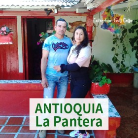 ANTIOQUIA / La Pantera