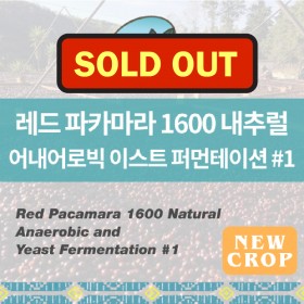 Red Pacamara Natural 1600 #1