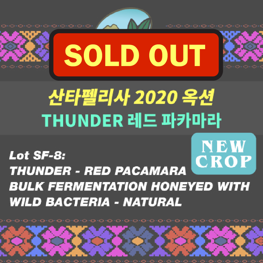 Thunder-Red Pacamara-Bulk Fermentation Honeyed With Wild Bacteria-Natural