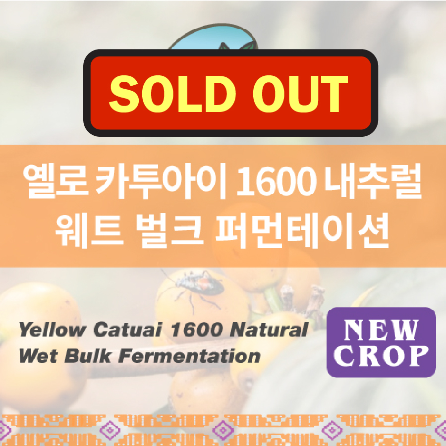 Yellow Catuai Natural 1600 Wet Bulk