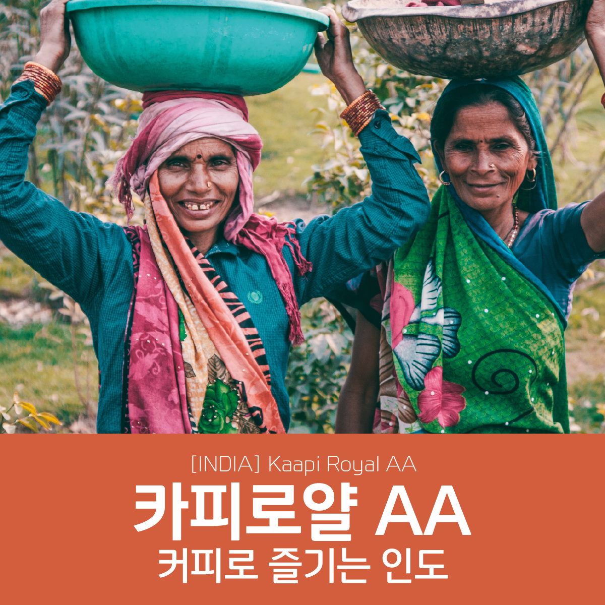 인도 카피로얄 AA