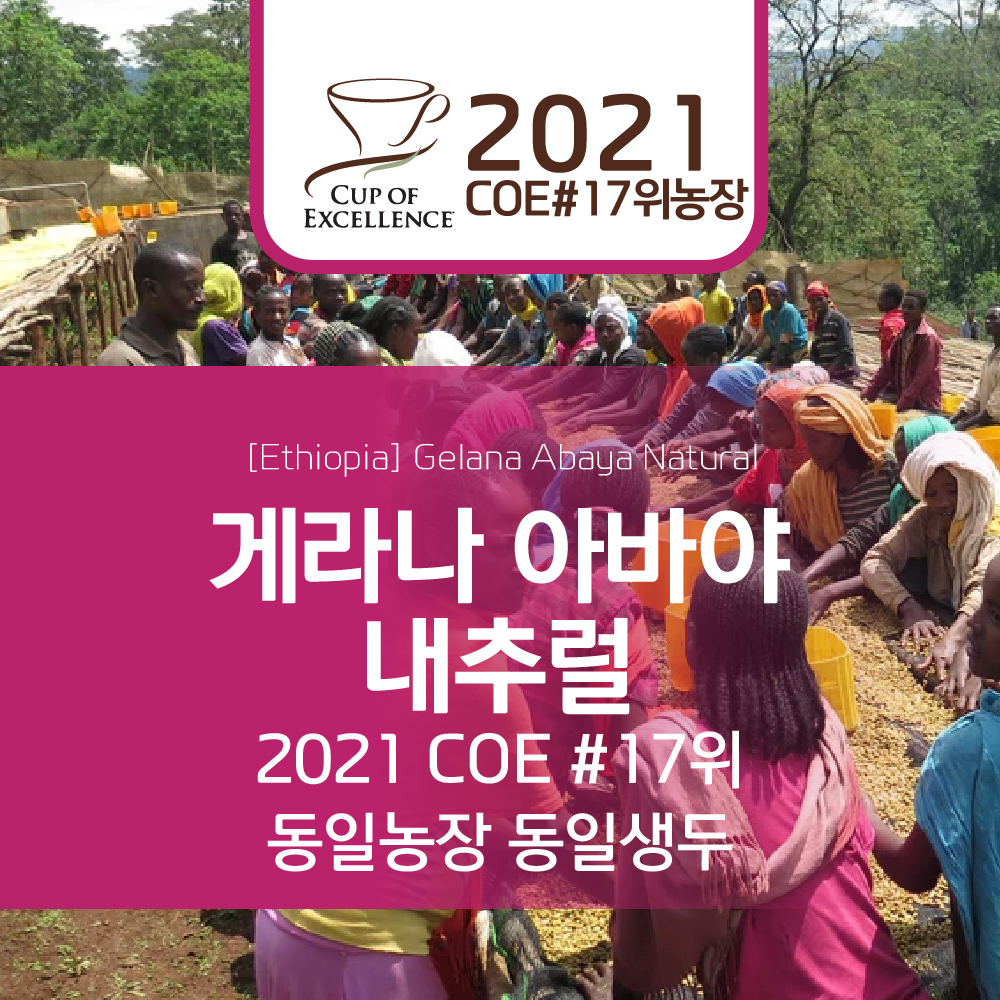 에티오피아 게라나 아바야 내추럴 셀렉티드 2021 COE #17위 농장