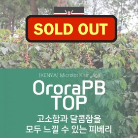 [Kenya] Orora Peaberry TOP 마이크로랏