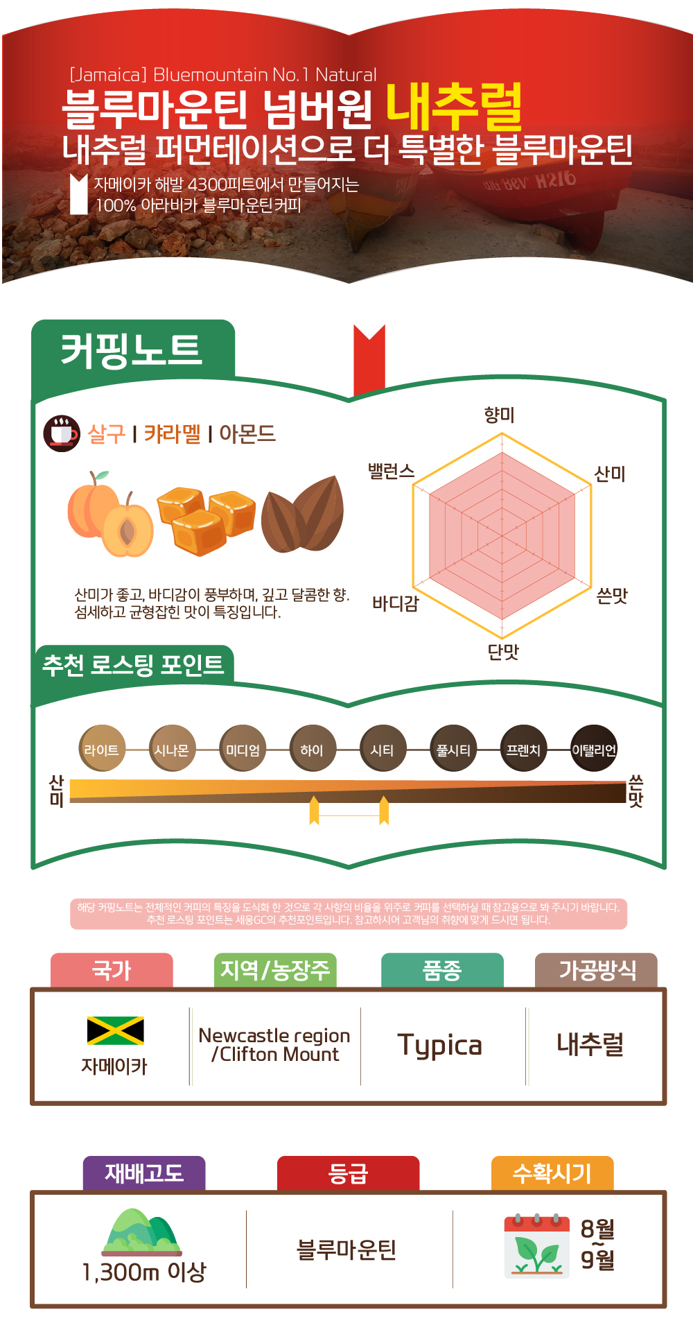 [자메이카] 블루마운틴 No.1 내추럴