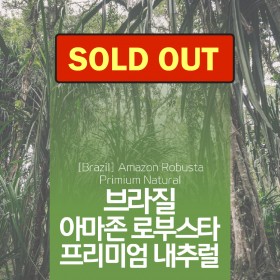 브라질 아마존 로부스타 프리미엄 내추럴