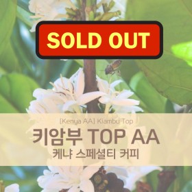 [Kenya] 키암부 TOP AA