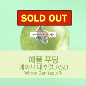 애플 푸딩 게이샤 내추럴 ASD