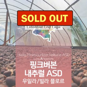 핑크버본 내추럴 ASD / 우일라-빌라 플로르