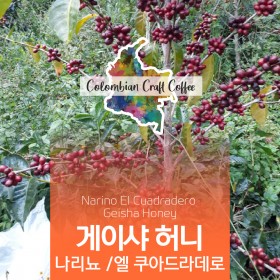 게이샤 허니 / 나리뇨-엘 쿠아드라데로