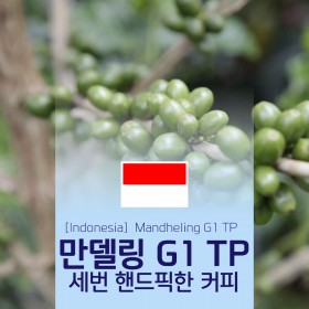 [Indonesia] 만델링 G1 TP