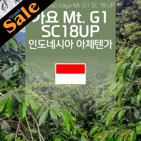 [Indonesia] 가요 Mt. G1 SC 18up