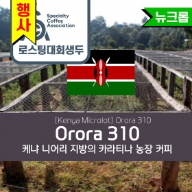 [Kenya] Orora 310