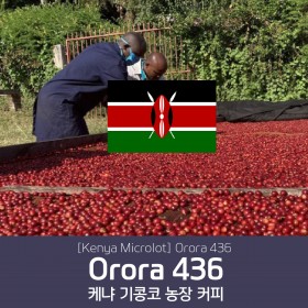 [Kenya] Orora 436