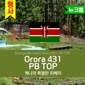 [Kenya] Orora 431 PB TOP
