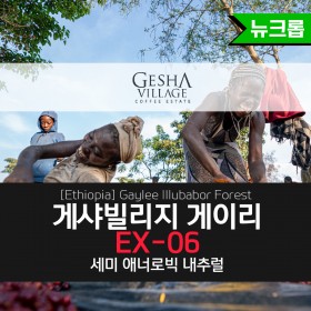 [Ethiopia] 게샤빌리지 게이리 EX-06 일루베보 포레스트 세미 애너로빅 내추럴