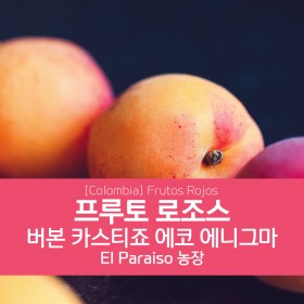 [Colombia] 엘 파라이소 프루토 로조스