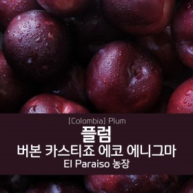 [Colombia] 엘 파라이소 플럼
