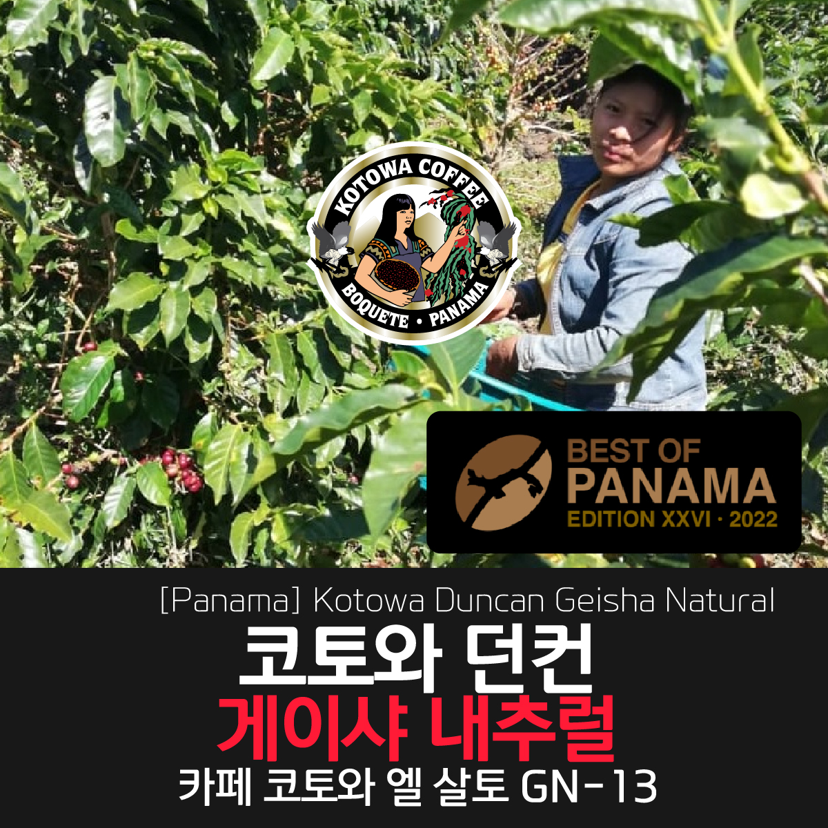 [파나마] 코토와 던컨 게이샤 내추럴 500g/1kg