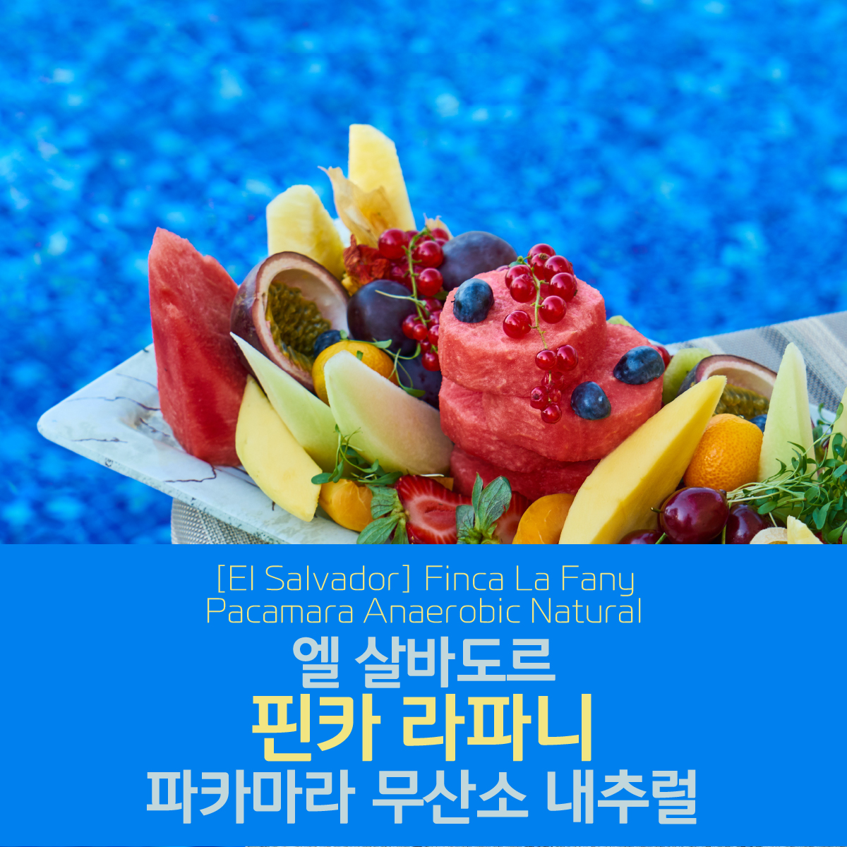 [엘살바도르]핀카 라파니 파카마라 무산소 내추럴