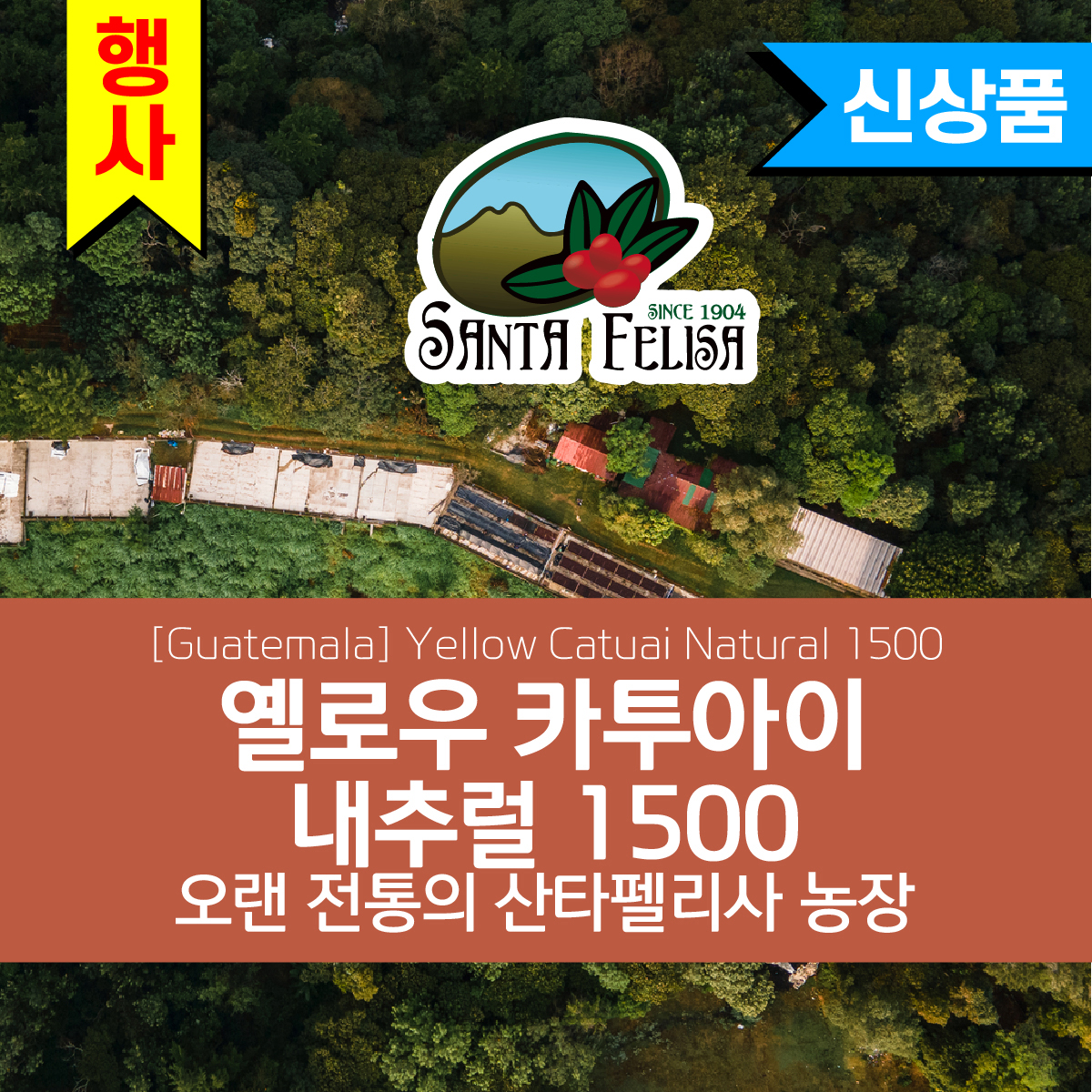 [과테말라][산타펠리사] 옐로우 카투아이 내추럴 1500