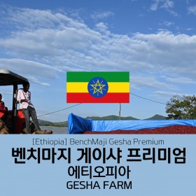[에티오피아] 벤치마지 게이샤 프리미엄