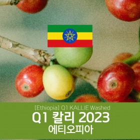 [에티오피아] 칼리 2023