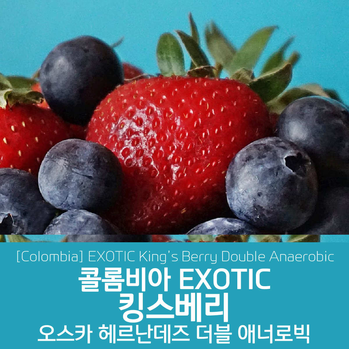 콜롬비아 EXOTIC 킹스베리