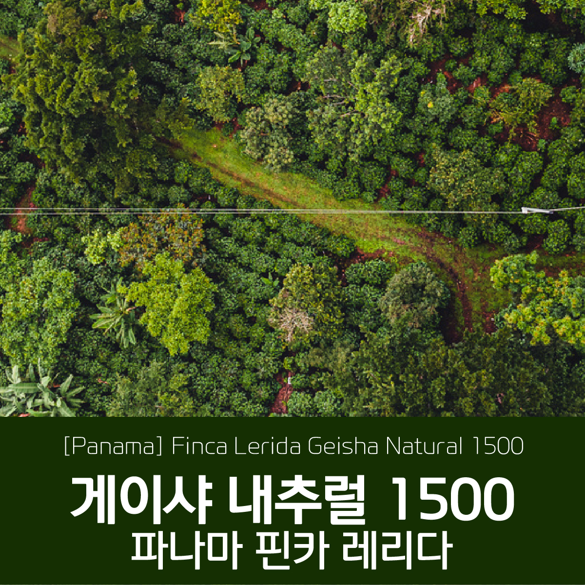 파나마 핀카 레리다 게이샤 내추럴 1500