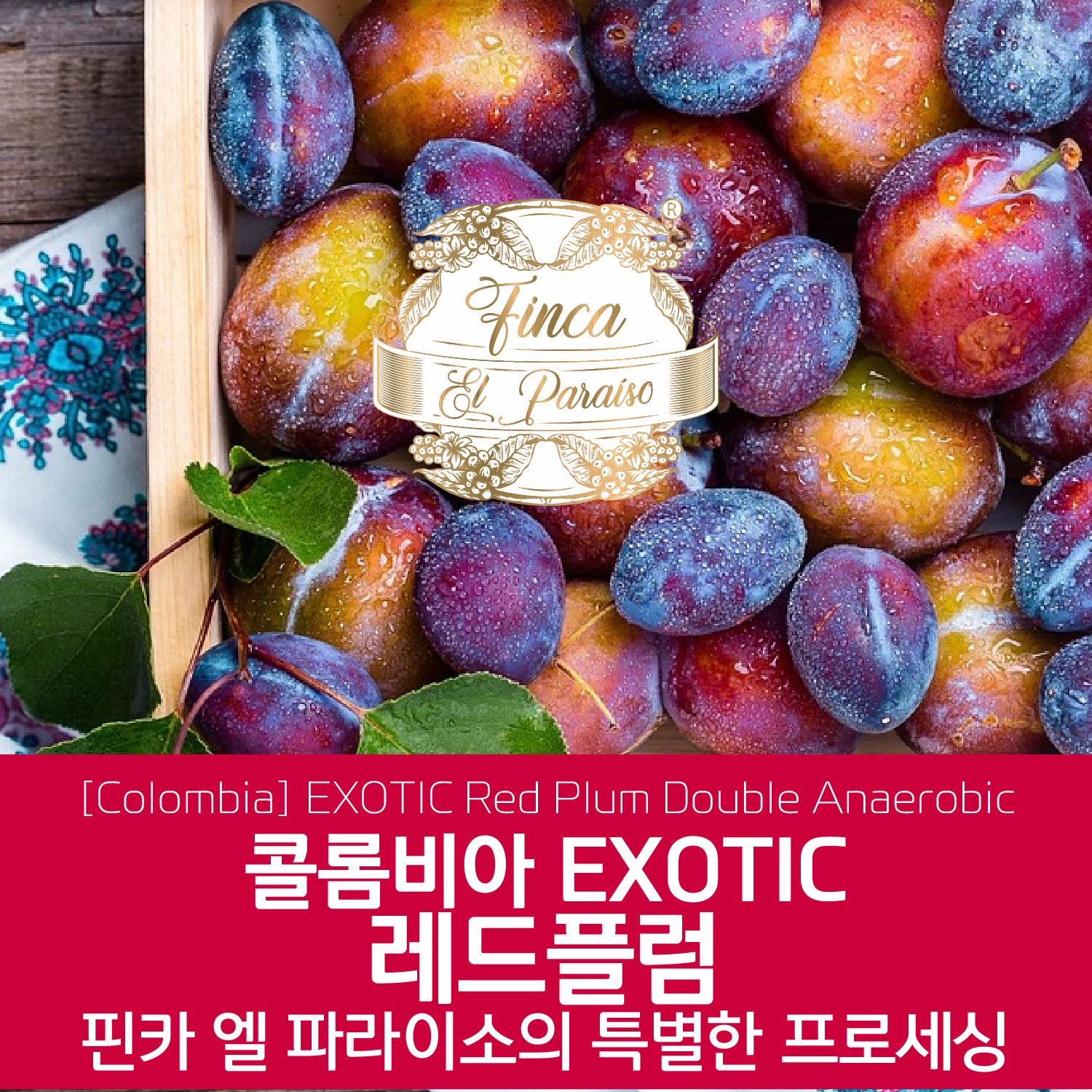 [콜롬비아] EXOTIC 레드 플럼 - 핀카 엘 파라이소