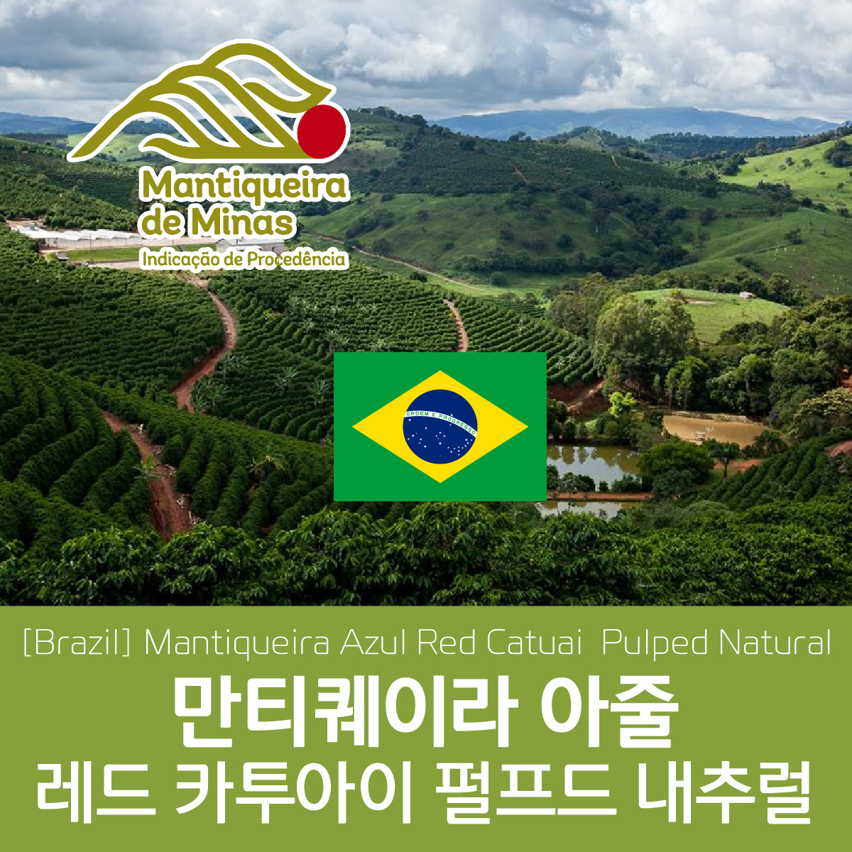 [Brazil] 만티퀘이라 아줄 레드 카투아이 펄프드 내추럴