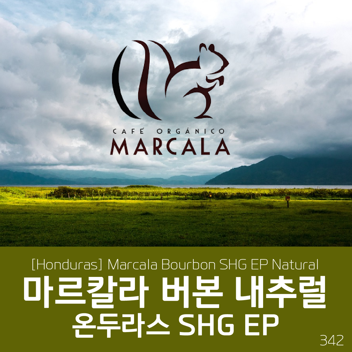 [Honduras] 마르칼라 버본 SHG EP 내추럴