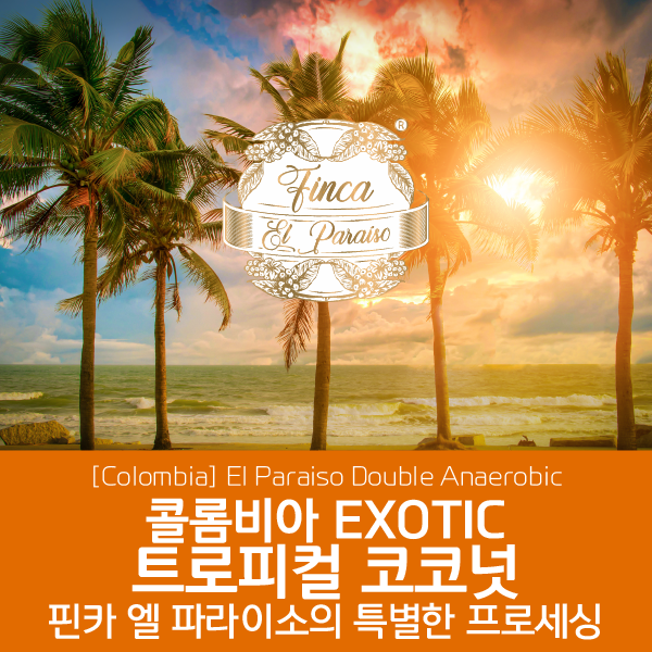 [가격인하] 콜롬비아 EXOTIC 트로피컬 코코넛 - 핀카 엘 파라이소