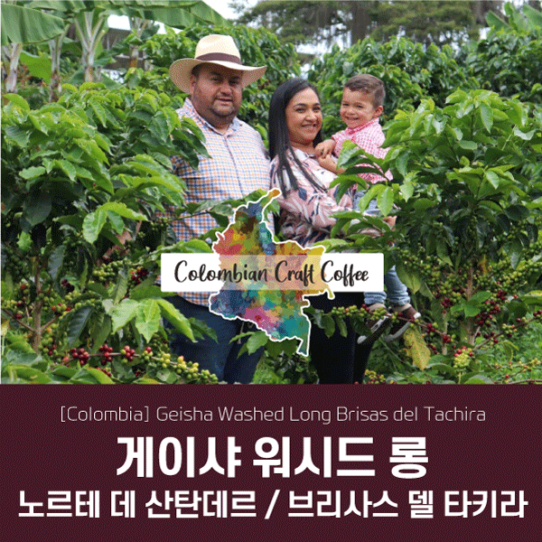 [가격인하] 콜롬비아 게이샤 워시드 롱/노르테 데 산탄데르 - 브리사스 델 타키라