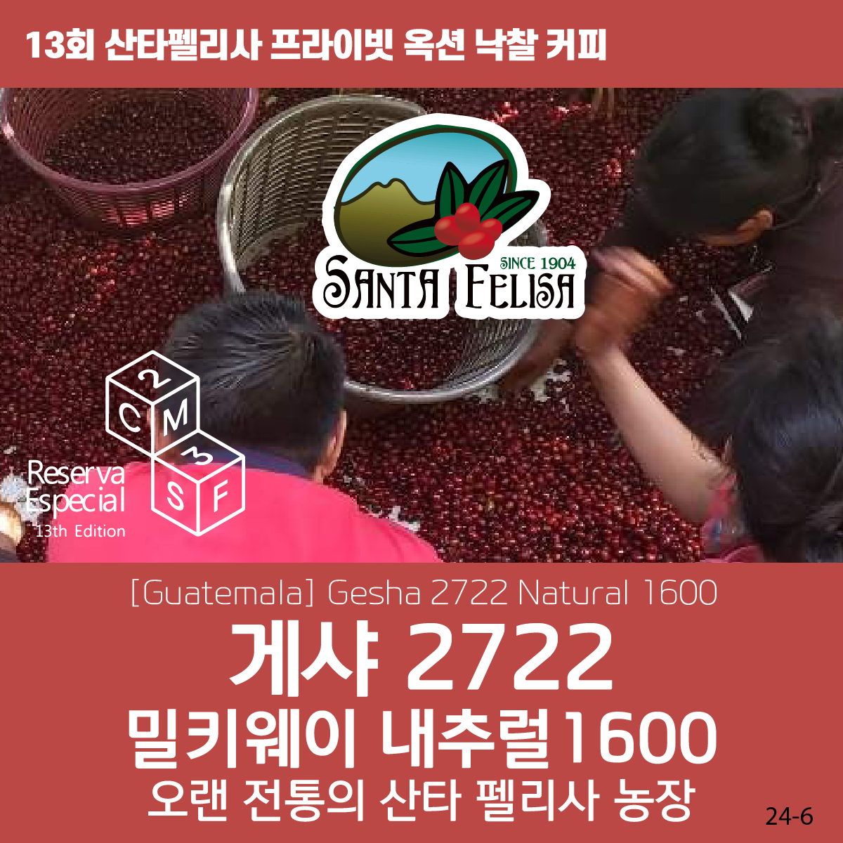 [가격인하][과테말라][산타펠리사] 게이샤 2722 밀키웨이 내추럴 1600