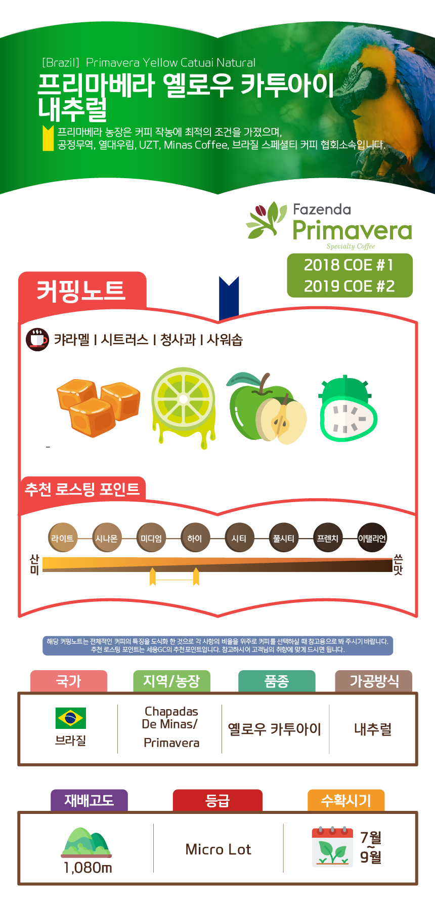 [브라질] 프리마베라 옐로우 카투아이 내추럴