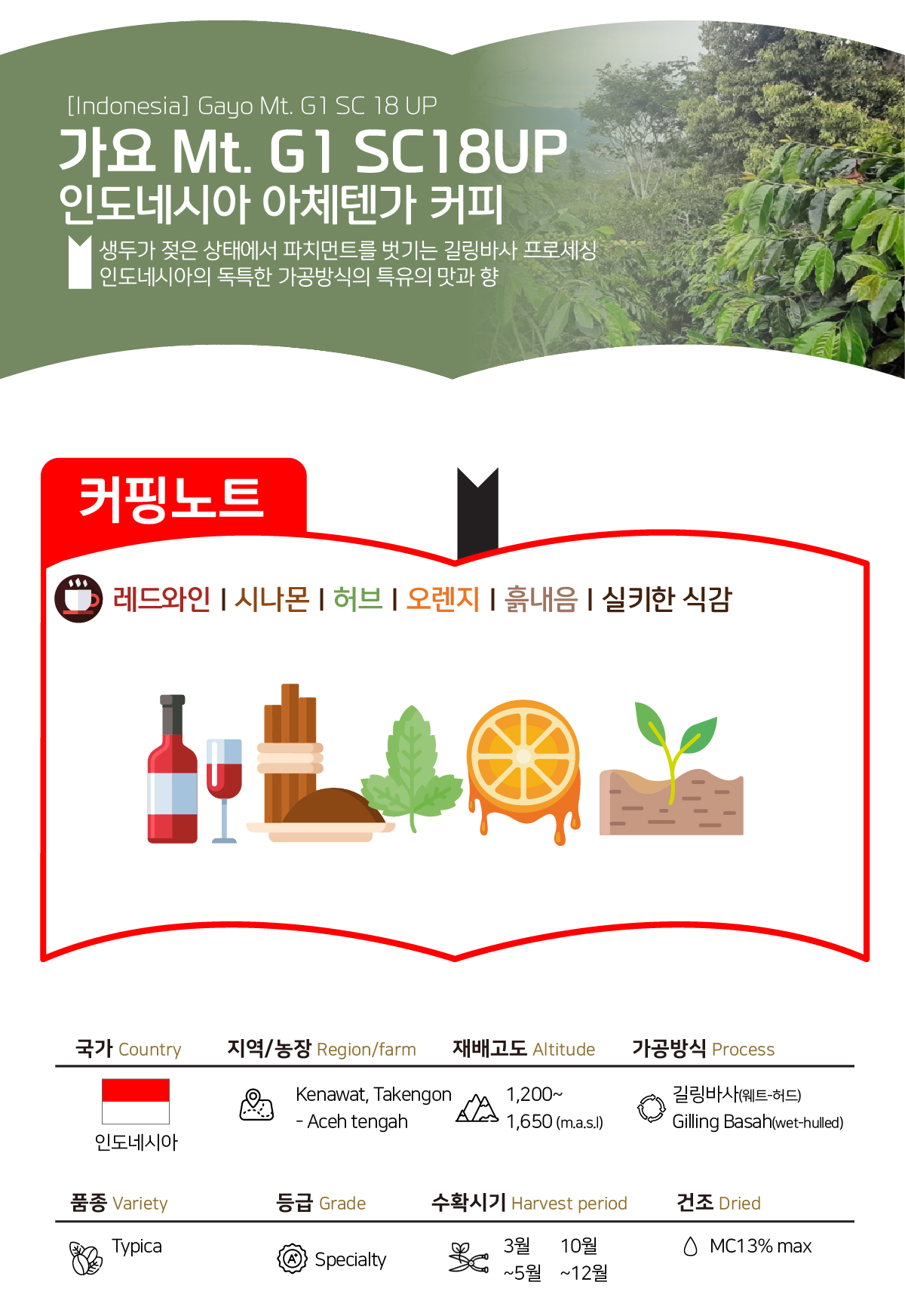 [인도네시아]G1 가요마운틴 18up