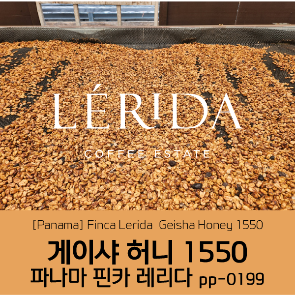[가격인하][파나마] 핀카 레리다 게이샤 허니 1550 PP-0199