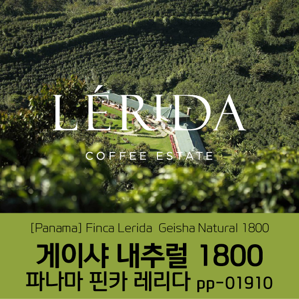 [가격인하][파나마] 핀카 레리다 게이샤 내추럴 1800 PP-01910