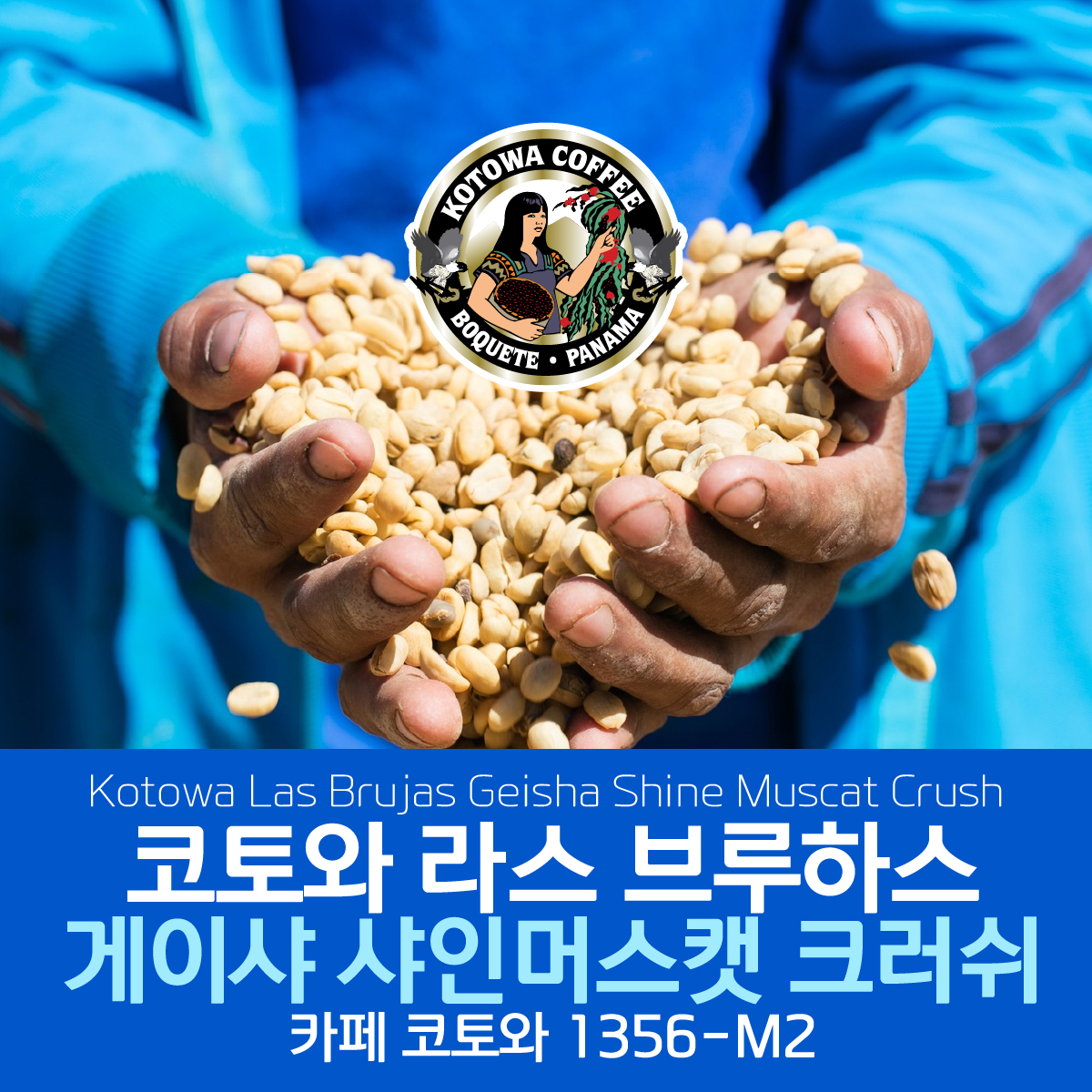 [가격인하][파나마] 코토와 라스 브루하스 게이샤 샤인 머스캣 크러쉬