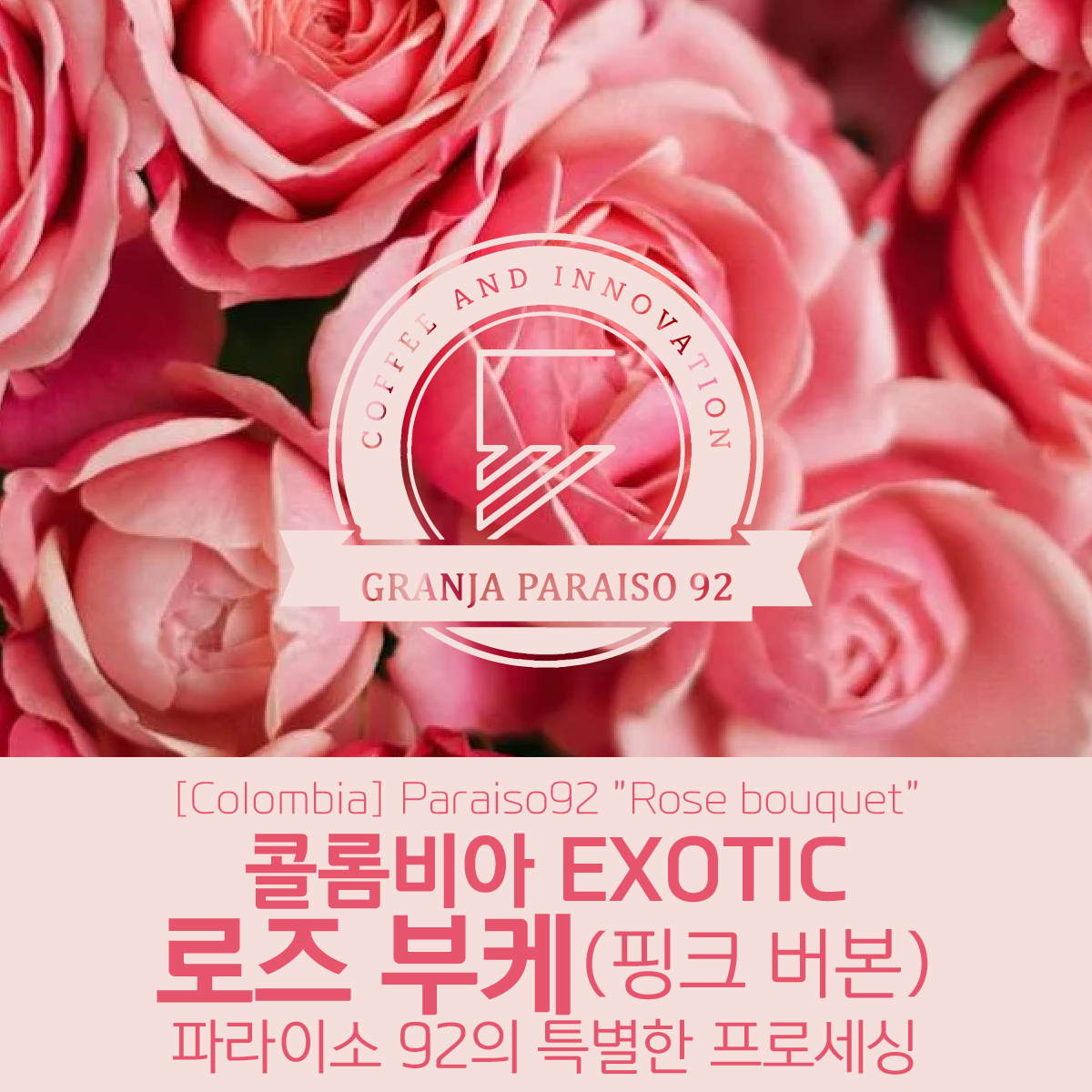 [가격인하][콜롬비아] EXOTIC 파라이소 92 로즈 부케