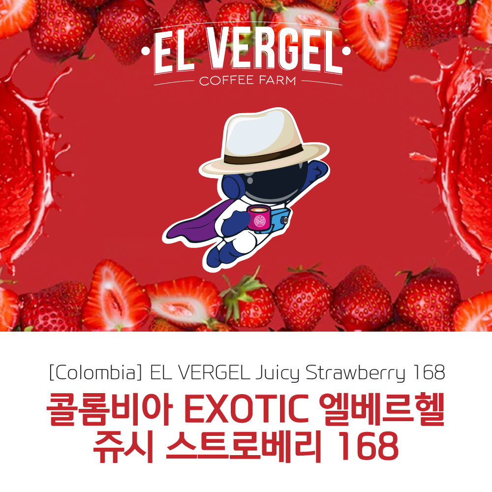 [콜롬비아]EL VERGEL 엘 베르헬 쥬시 스트로베리 168
