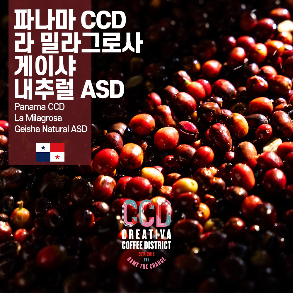 [가격인하][파나마] CCD 라 밀라그로사 게이샤 내추럴 ASD