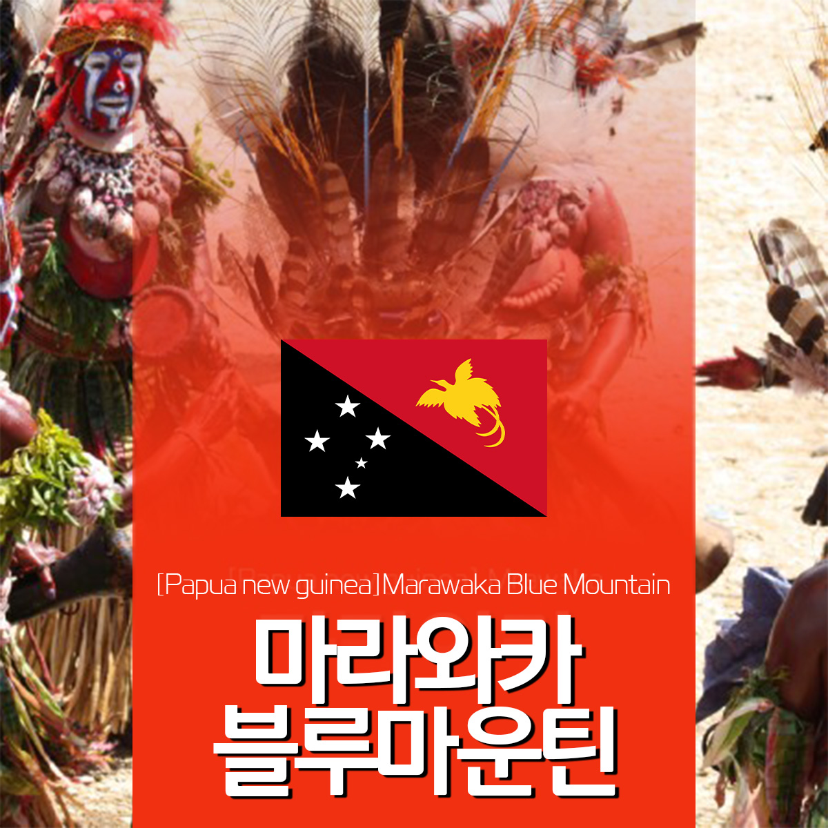 [파푸아뉴기니] 마라와카 블루마운틴
